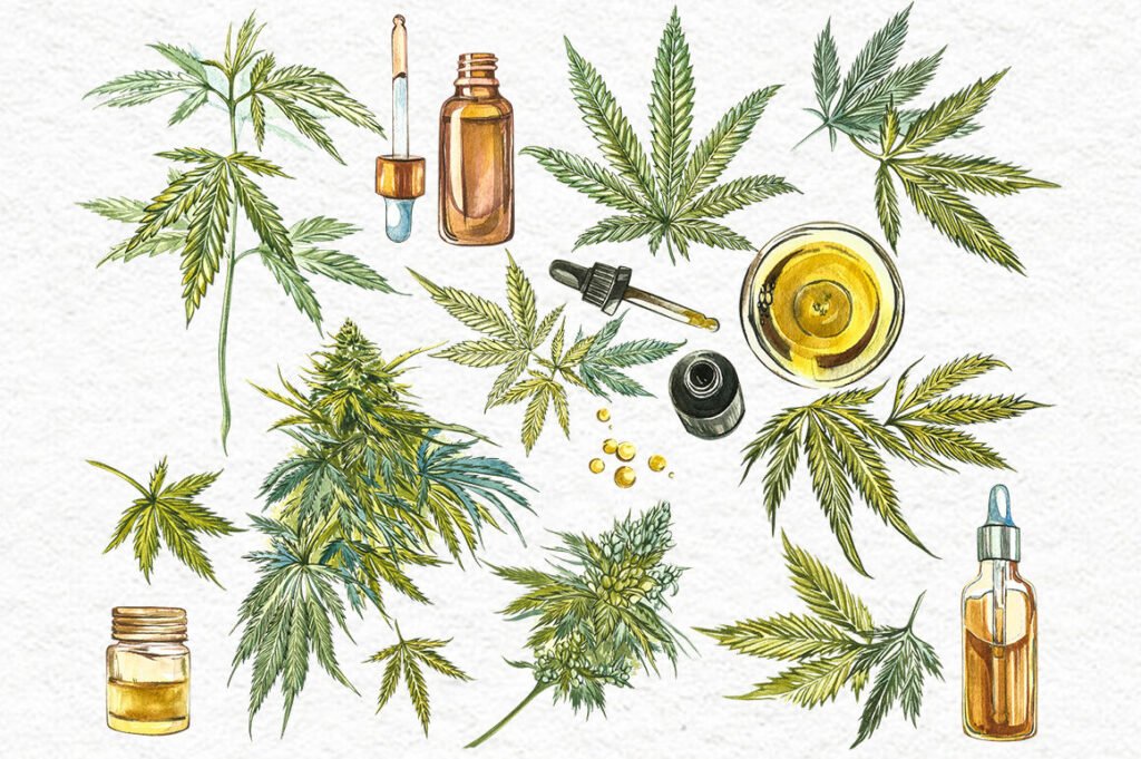 Cbd Oil In Australia