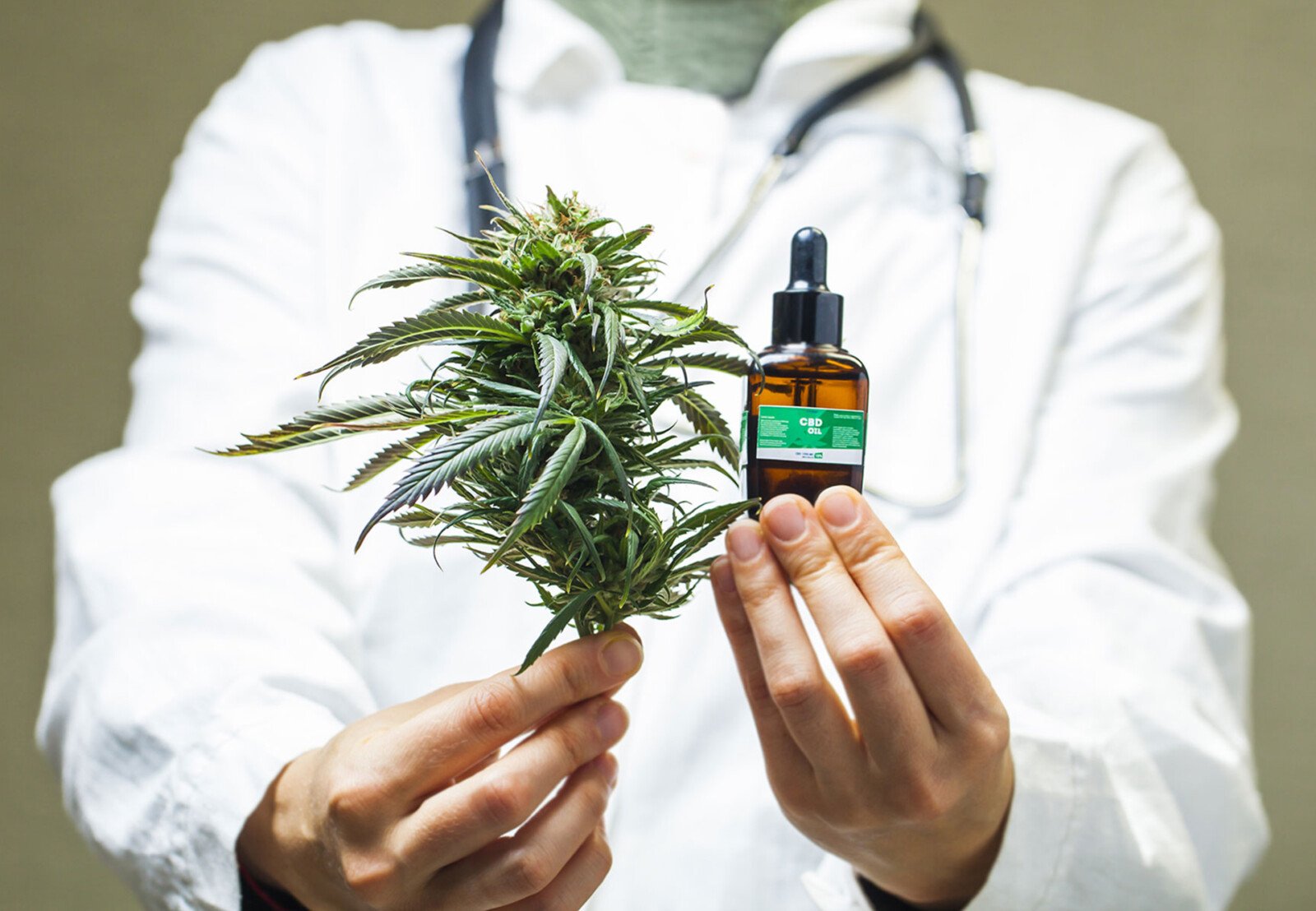 Cbd Oil In Australia, 5 Things You Should Know - Hash &Amp; Co.